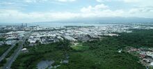 Projet JA-RIV, Guadeloupe - Restauration de la forêt marécageuse.