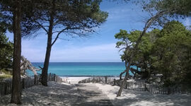 Accès aménagé à la plage de Saleccia