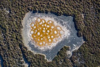 SALINS DE FRONTIGNAN