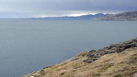 Du cap Béar au cap Cerbère, une côte plus sauvage