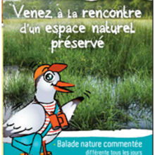 Venez à la rencontre d'un espace naturel protégé en Baie d'Audierne