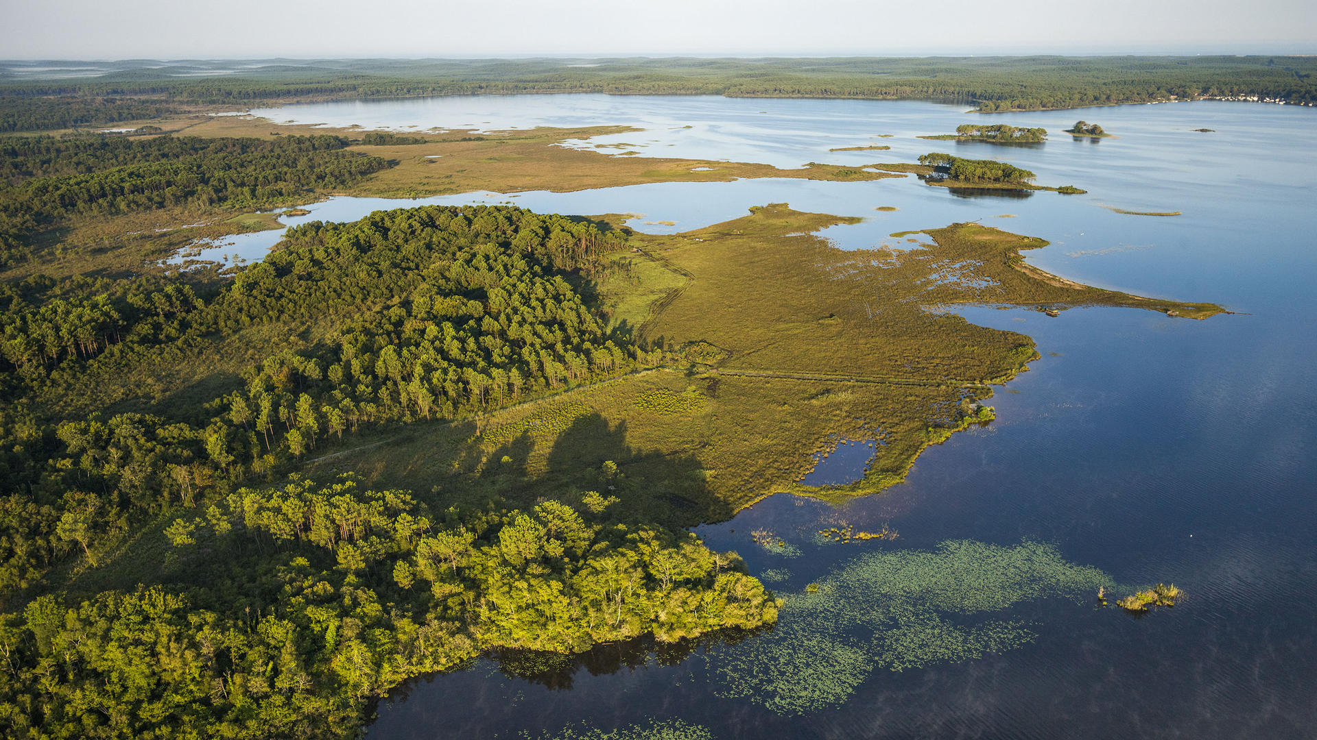 DUNES ET ETANGS LANDAIS