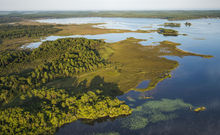 DUNES ET ETANGS LANDAIS