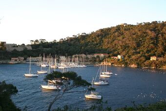 ILE DE PORT-CROS