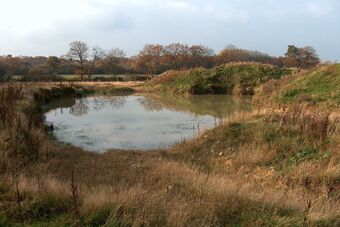 LANDES DE LESSAY