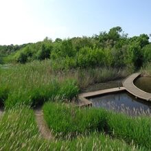 Venez découvrir les Marais du Vigueirat en automne