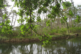 RESERVOIRS DE PIRAILLAN