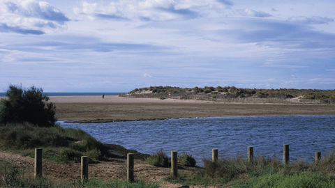 À l’est de Valras-Plage, les paysages préservés des zones humides de la Grande Maïre et de l’embouchure de l’Orb