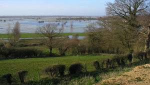 Les marais de Carentan