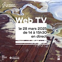 WEB TV | 28.03.25 | Face au changement climatique, la nature est-elle la solution ?