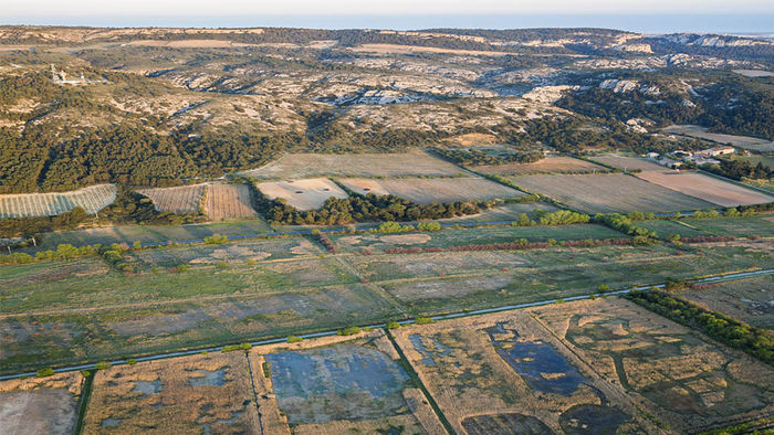 Marais du Narbonnais, lutte contre la cabanisation et restauration paysagère.