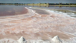 Autour d’Aigues-Mortes, des paysages de salins, d’étangs et de marais