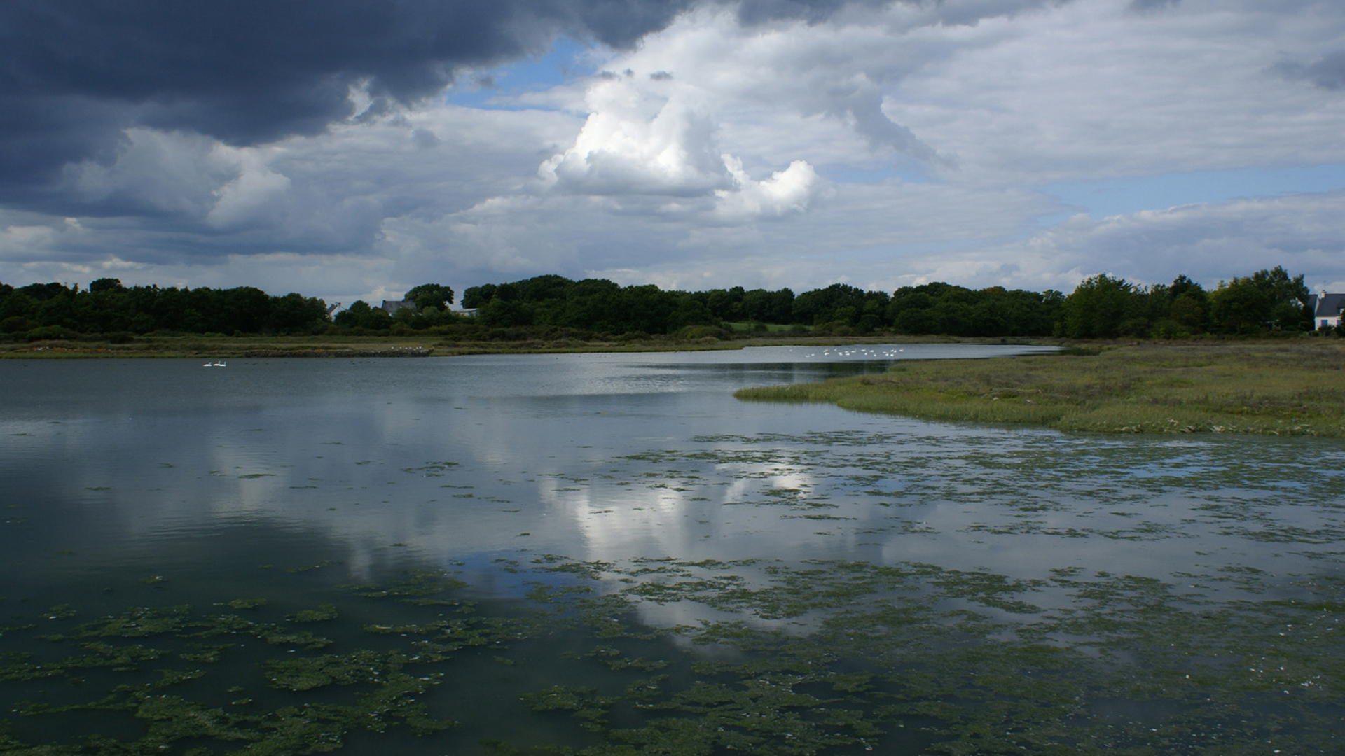 GOLFE DU MORBIHAN