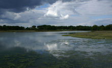 GOLFE DU MORBIHAN