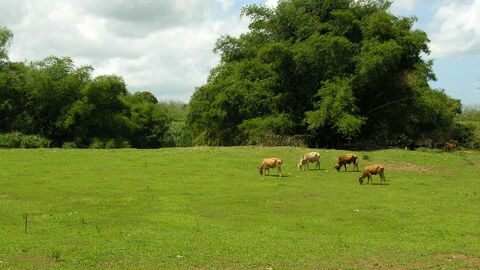 Des paysages agricoles authentiques et un habitat plus ou moins diffus