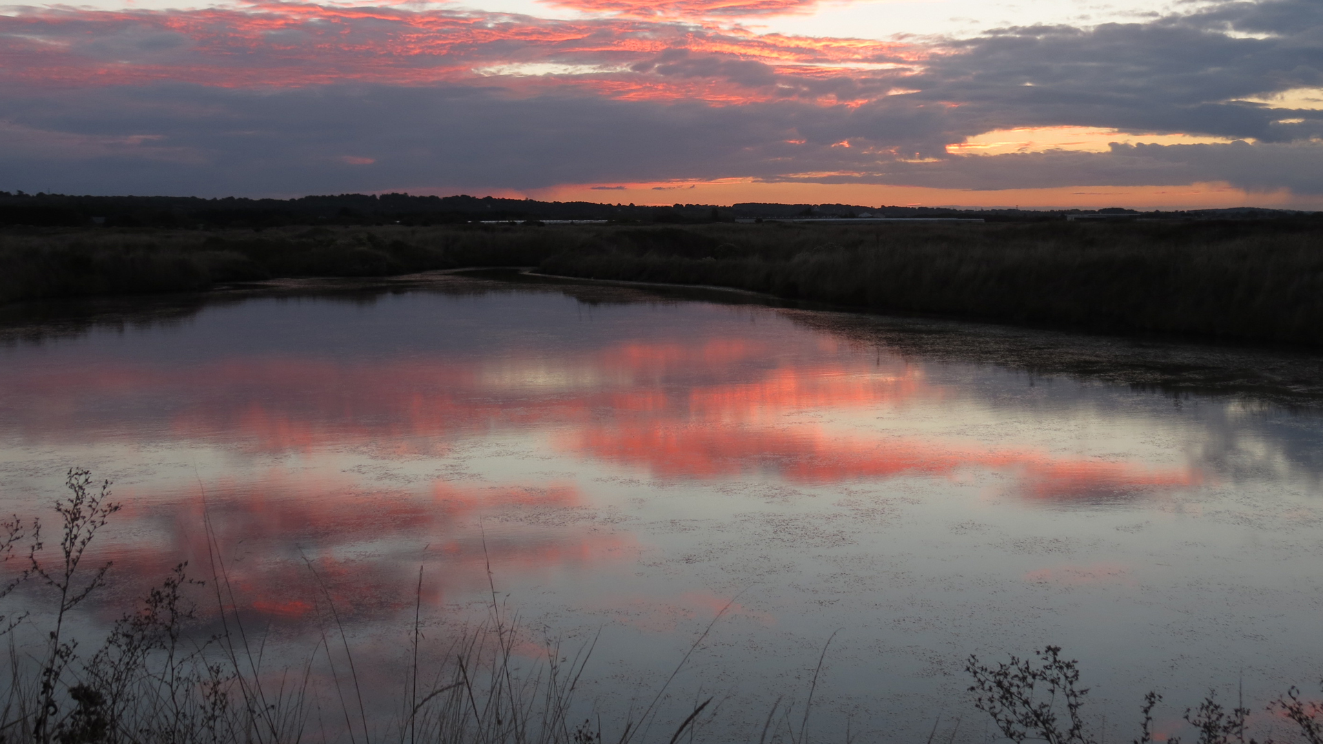 PRESQU'ILE DE GUERANDE