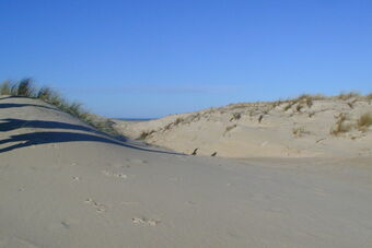 DUNES DES CASERNES