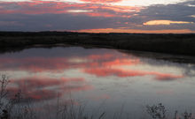 PRESQU'ILE DE GUERANDE