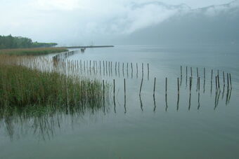 LE GRAND PORT