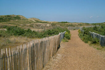 DUNES DU ROYON