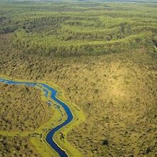 Préserver les zones humides des lacs médocains