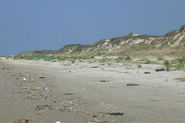 Nettoyage des plages