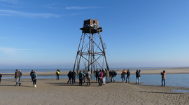 phare_de_walde