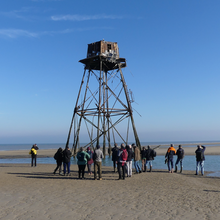 phare_de_walde