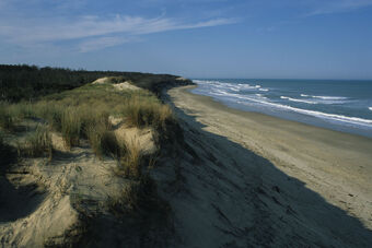 DUNE DE L'AMELIE