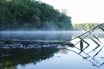 ETANG DU GRAND MONTFAUCON