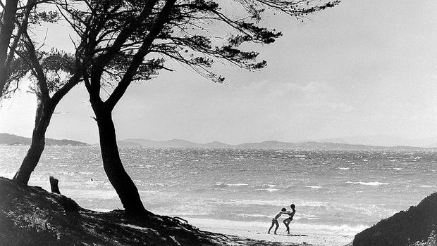 Bernard Plossu, Mistral à Porquerolles, 1976