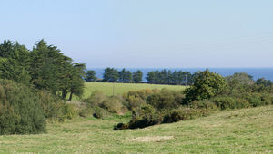 Belle-Ile - L’intérieur, encore cultivé et pâturé