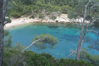 PORT D'ALON - NARTETTE 