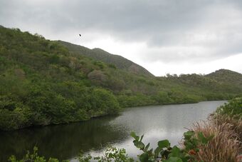 ANSE MARCEL 