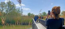 Inauguration du sentier Homme et Nature aux Marais du Vigueirat