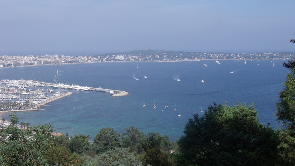 Vue sur bois de la Garoupe depuis le site, seule coupure verte sur le littoral d'Antibes