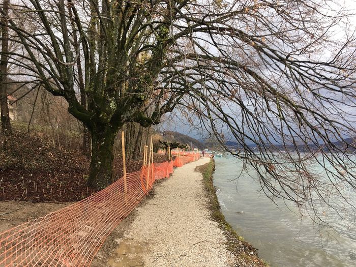 Lac d'Annecy, requalification de la Promenade des Seines.