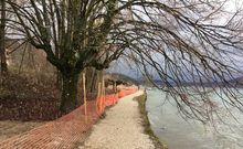 Lac d'Annecy, requalification de la Promenade des Seines.