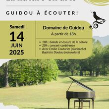 affiche_guidou