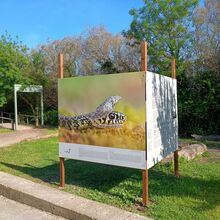 serpents_mejean