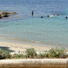 Explorez le Jardin marin du Domaine du Rayol !