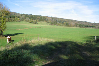 RIVE DROITE DU LAC DE VOUGLANS