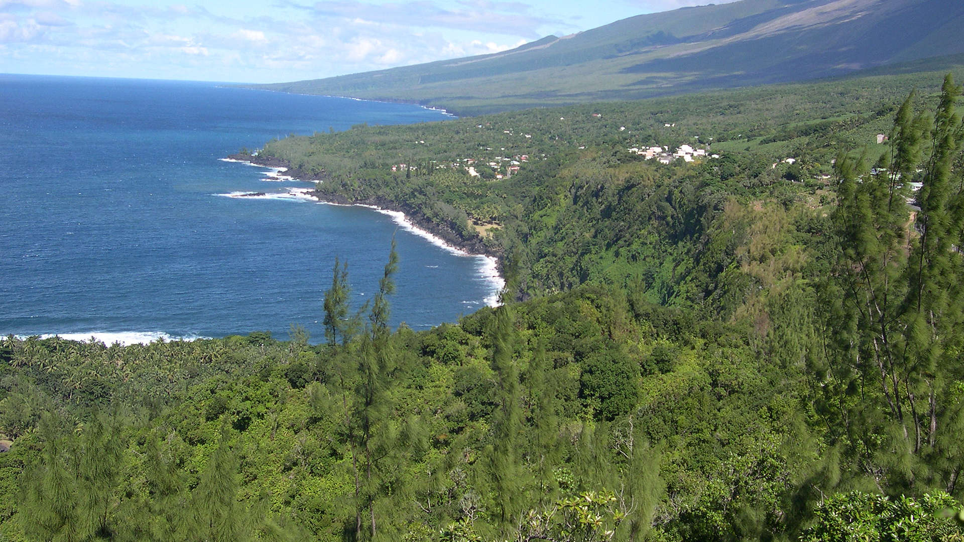 COTE SAUVAGE ET PENTES DU VOLCAN - LA REUNION