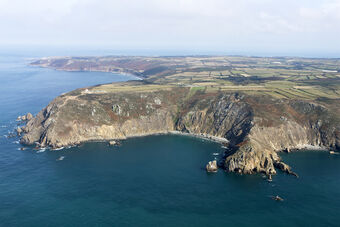 NEZ DE JOBOURG