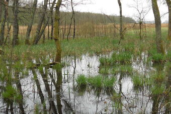 ARGENTOLLE - ETANGS D'OUTINES ET D'ARRIGNY