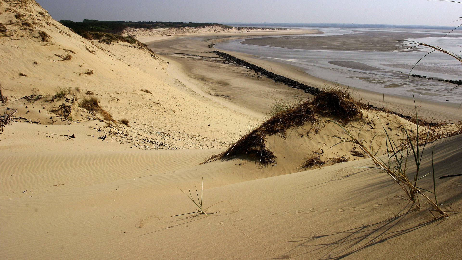 DUNES ET ESTUAIRES D'OPALE