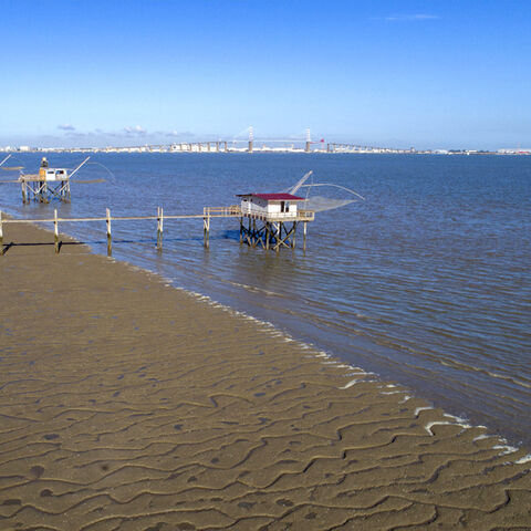 Estuaire de Loire, Conseil départementale de Loire Atlantique