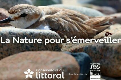 WEB TV | La nature pour s'émerveiller ! | 22 mai à 13h30