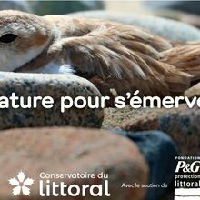 WEB TV | La nature pour s'émerveiller ! | Replay de l'émission du 22.05.26