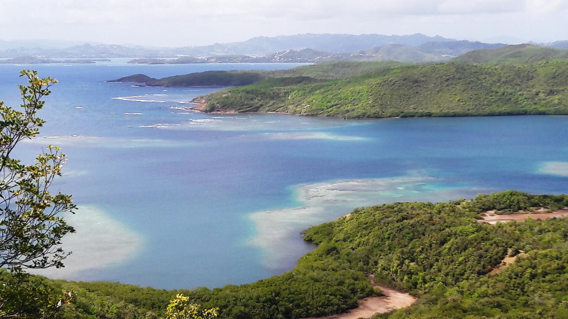 PRESQU'ILE DE LA CARAVELLE - MARTINIQUE